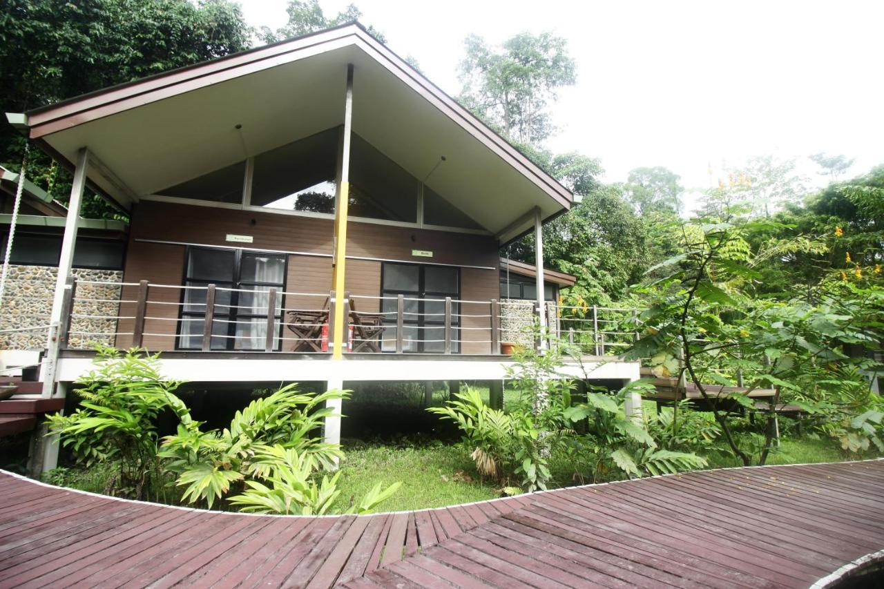 Mulu National Park Hotel Exterior photo